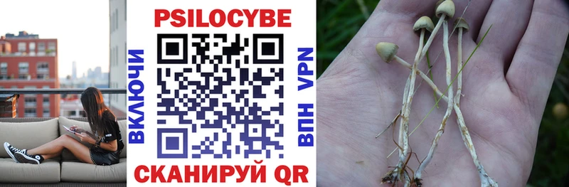 наркота  Пудож  Галлюциногенные грибы прущие грибы 