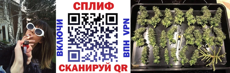 МЕГА   Пудож  Конопля планчик 